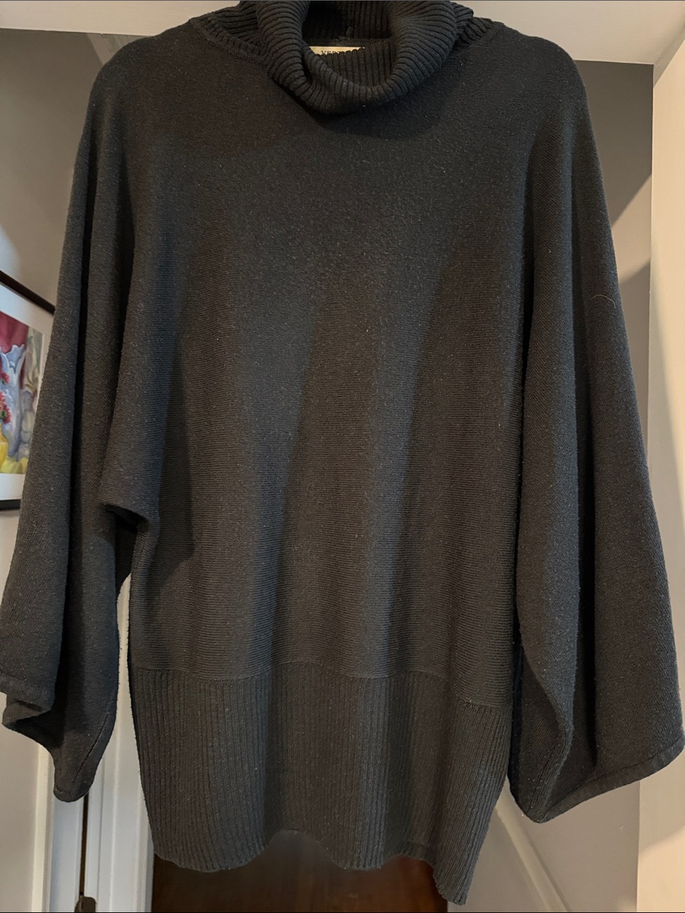 Vertigo Paris Men's Black Turtleneck Sweater